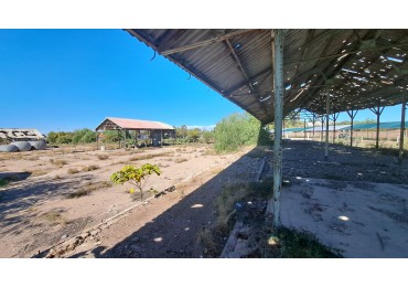 OFERTA Vendo 7.896 m² con 930 m² Semicubierta, INTERESANTE PROPIEDAD EN AVENIDA IDEAL SUPERMERCADO, DEPOSITO, etc San Rafael, Mendoza
