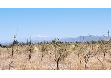 Vendo finca 4 has. zona 4 km Salto de las Rosa. Cuenta con casa 2 dorm.  a terminar. Con Luz y Agua 2024San Rafael.
