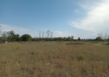 Vendo Lote con cierre en zona del aeropuerto. Ideal cabañas u casa fin de semana. San Rafael 