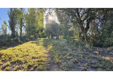 Gran terreno o lote de 2 has en San Rafael ideal emprendimiento 