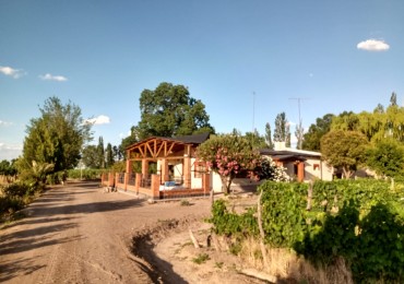 Vendo finca o campo de 28 has en Produccion, Casas, Galpones, Implementos, Riego en  Atuel Norte. A 40 km de San Rafael. Mendoza