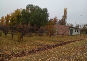 Finca en Venta en C. Benegas, San Rafael - Ideal para Vivir o Emprender