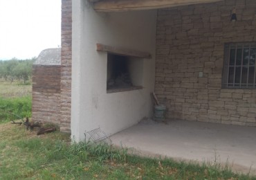 Oportunidad! Finca con Casona grande  de 5 hectareas con ciruela en Rama Caida, San Rafael - galpon 