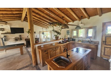 Vendo Casa Amplia con pileta y depto con 7200 m² parquizados en Cuadro Benegas San Rafael