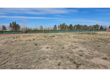 ¡Oportunidad! Lote de 1037 m² en Chañaral, Las Paredes, San Rafael