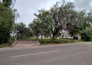 Vendo Lote 7400 m² con Avance pilastras, puente, pozo, olivos. Sonbre Ejercito de los Andes Rama Caida. Ejercito de los Andes. San Rafael. Mendoza 