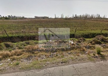 Terreno o lote 2,4 has o 24.000 m2 en la calle el TOLEDANO las Paredes. 39.000 SAN RAFAEL