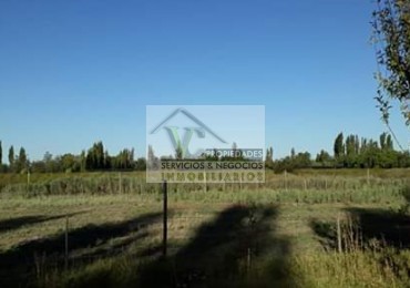 Vendo hermosa Finca zona Rama Caida de  5 hectáreas,  en producción uva bonarda y mezcla  con tela antigranizo. Vista Montaña 