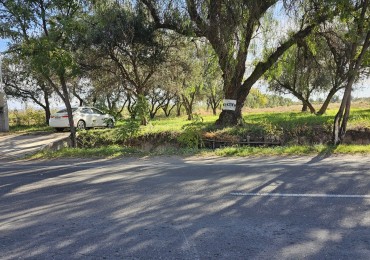 Vendo Lote 7400 m² con Avance pilastras, puente, pozo, olivos. Sonbre Ejercito de los Andes Rama Caida. Ejercito de los Andes. San Rafael. Mendoza 